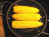 picture of corn