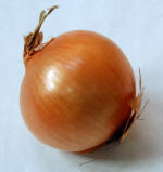 Onion Picture